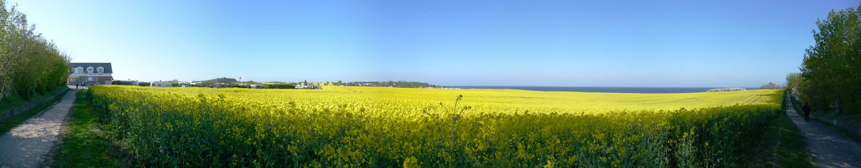 Bliesdorf
